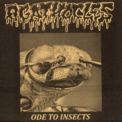 7": agathocles "ode to insects"