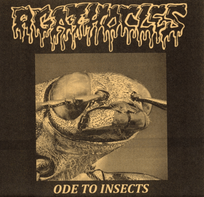 7": Agathocles "Ode To Insects"