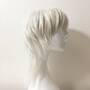 Wolf Cut Mullet Wig Silver White Scene Wig With Bangs Cosplay Anime Wig Short Straight Layered Cut-2