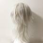 Wolf Cut Mullet Wig Silver White Scene Wig With Bangs Cosplay Anime Wig Short Straight Layered Cut-4