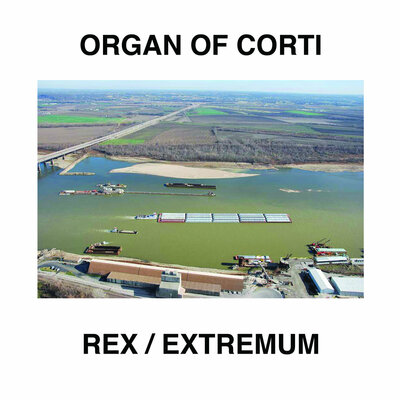 Organ of corti 'rex / extremum' 7"