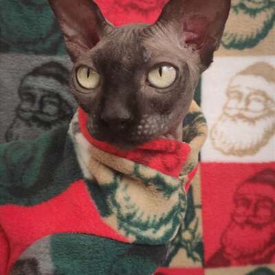 Warhol santa - luxe fleece - Thumbnail 2