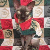 Warhol Santa - Luxe Fleece - Thumbnail 1