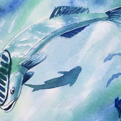 Mystic remora poster