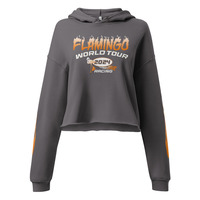2F Racing Cropped Hoodie (Grey) - Thumbnail 8