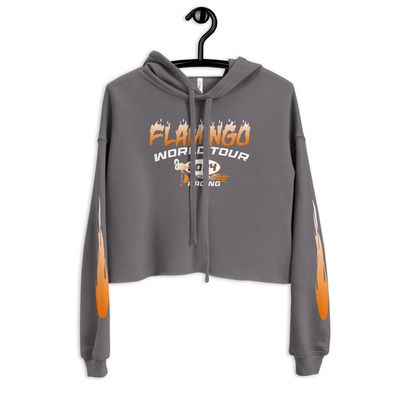 2f racing cropped hoodie (grey)