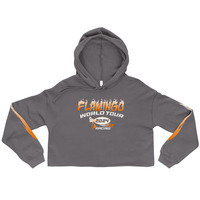 2F Racing Cropped Hoodie (Grey) - Thumbnail 10