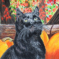 "Binx's Autumn" Original Realism Drawing By N.E.Thompson, Artwork Size 8x10 Inches - Thumbnail 3