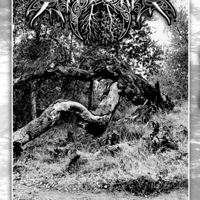 Sturmgraf "stahlsturm" tape - Thumbnail 1