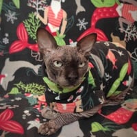 Under The Sea Xmas - Luxe Fleece - Thumbnail 1