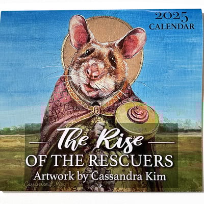The rise of the rescuers 2025 calendar
