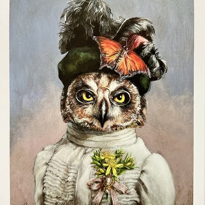 Miss short-earred owl