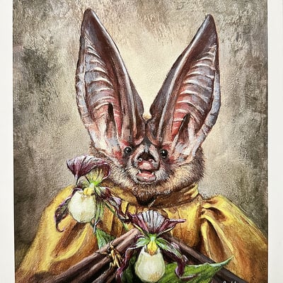 Miss virginia big-earred bat