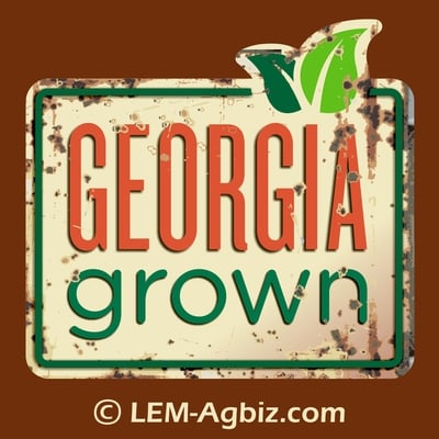 4' rusty georgia grown sign