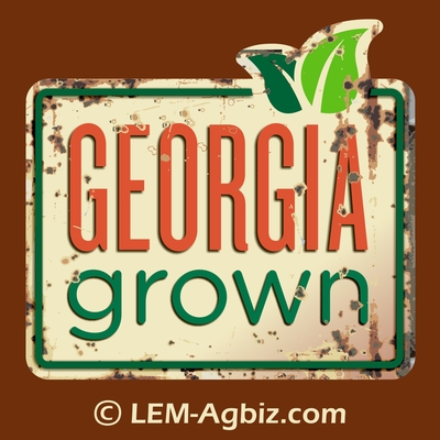 4' Rusty Georgia Grown Sign
