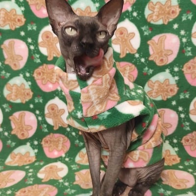 Get these cookies!  - luxe fleece