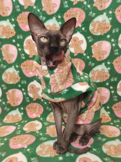 Get These Cookies!  - Luxe Fleece