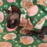 Get These Cookies!  - Luxe Fleece - Thumbnail 1