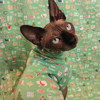 Happy merry joy - sleepwear