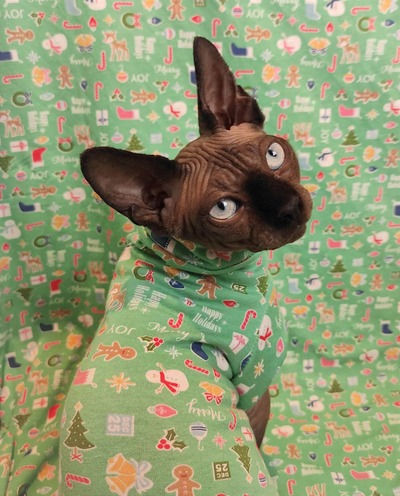 Happy Merry Joy - Sleepwear