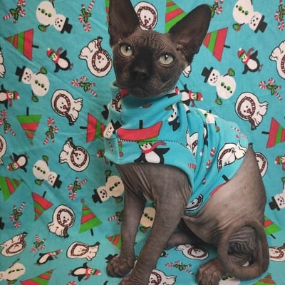 Chilllll - sleepwear