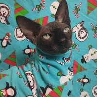 Chilllll - Sleepwear - Thumbnail 1