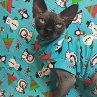 Chilllll - Sleepwear - Thumbnail 2