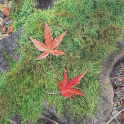 "fallen leaves on a mossy rock" original realism drawing by n.e.thompson, artwork size 8x10 inches