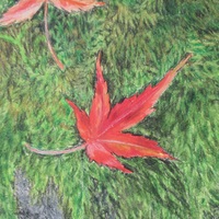 "Fallen Leaves On A Mossy Rock" Original Realism Drawing By N.E.Thompson, Artwork Size 8x10 Inches - Thumbnail 3