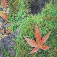 "Fallen Leaves On A Mossy Rock" Original Realism Drawing By N.E.Thompson, Artwork Size 8x10 Inches - Thumbnail 5