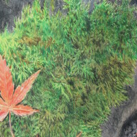 "Fallen Leaves On A Mossy Rock" Original Realism Drawing By N.E.Thompson, Artwork Size 8x10 Inches - Thumbnail 6