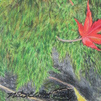 "Fallen Leaves On A Mossy Rock" Original Realism Drawing By N.E.Thompson, Artwork Size 8x10 Inches - Thumbnail 7