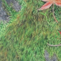 "Fallen Leaves On A Mossy Rock" Original Realism Drawing By N.E.Thompson, Artwork Size 8x10 Inches - Thumbnail 8
