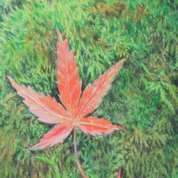 "Fallen Leaves On A Mossy Rock" Original Realism Drawing By N.E.Thompson, Artwork Size 8x10 Inches - Thumbnail 9