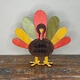 Autumn Turkey-2