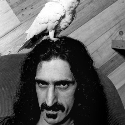 Frank zappa - set of five (5) fine art mini-print notecards - Thumbnail 1