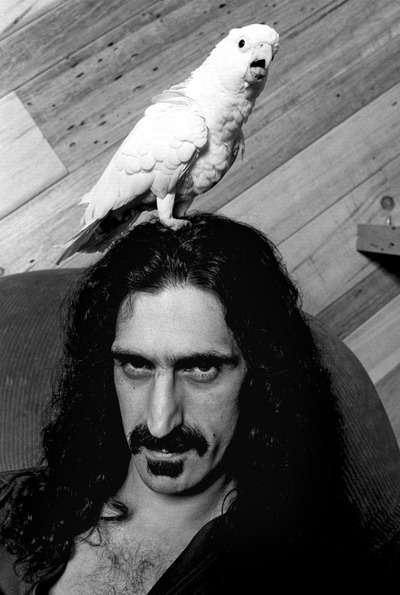 Frank Zappa - set of five (5) fine art mini-print notecards