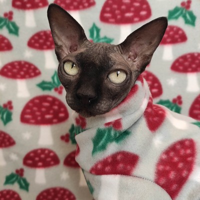 Holly loves shrooms - fleece