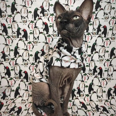 Penguins are cool! - sleepwear