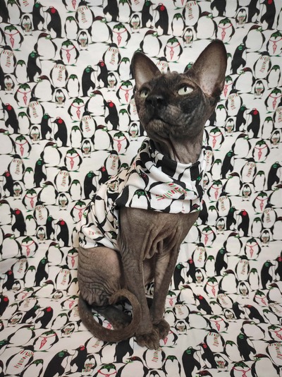 Penguins Are Cool! - Sleepwear