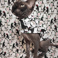 Penguins Are Cool! - Sleepwear - Thumbnail 2