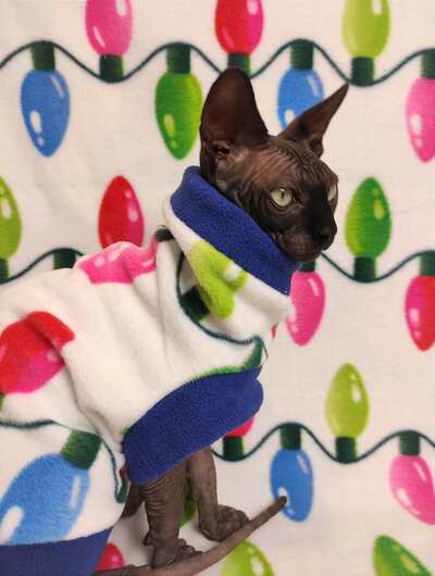 Flashing Lights - Luxe Fleece