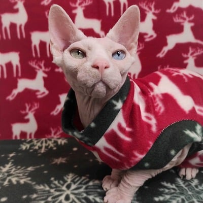 Oh deer! snow! - fleece