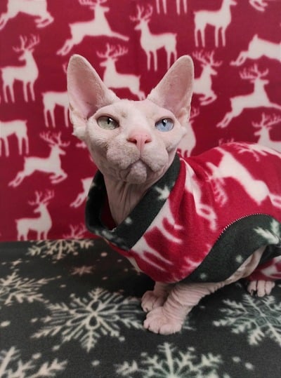 Oh Deer! Snow! - Fleece