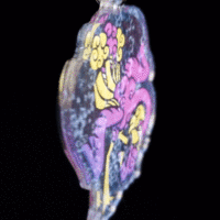 Candy Animal Keychain - Cotton Candy American/Caribbean Flamingo - Thumbnail 1