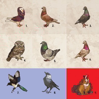  new pins: birds - Thumbnail 2
