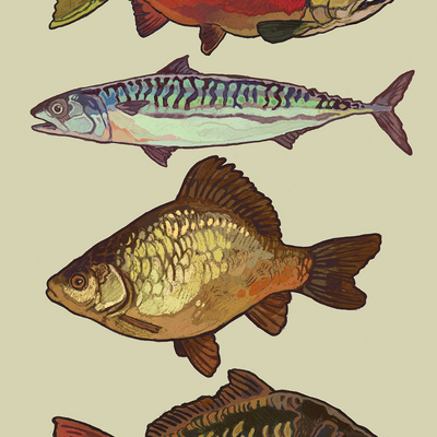 Fish print a5 2024 - Thumbnail 4