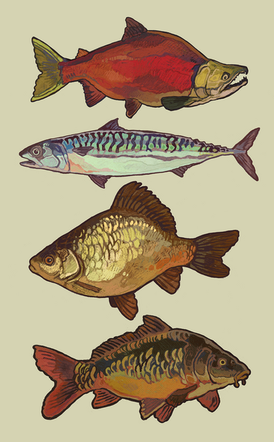 Fish print A5 2024