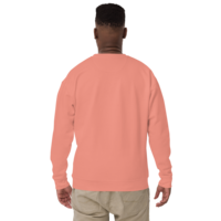 Aries Zodiac series Unisex Premium Sweatshirt - Thumbnail 23