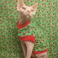 I'm On Santa's Naughty List - Thumbnail 2